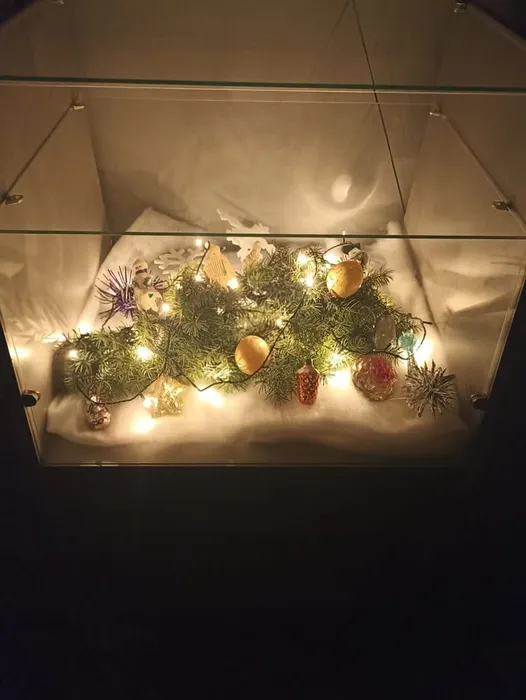 WhatsApp Image 2022-12-20 at 04.34.30 (2)